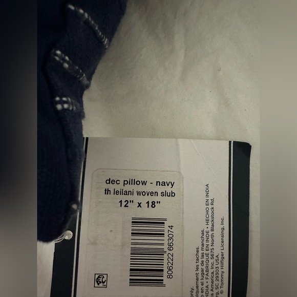 Leilani Woven Slub 12" X 18" Decorative Pillow . Original price 85$ - Picture 5 of 5